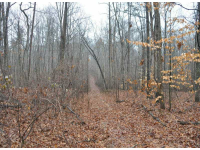 5740 Frank Gilmer Road, Gillsville, GA 30543 