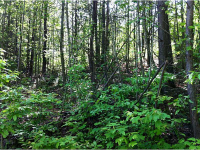 0 Salacoa Road, Waleska, GA 30183 