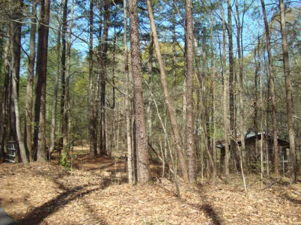 15950 Thompson Road, Alpharetta, GA 30004 