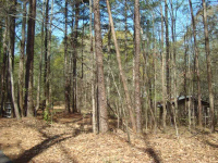 15950 Thompson Road, Alpharetta, GA 30004 