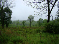 170 Roberts Lake Road, Ball Ground, GA 30107 