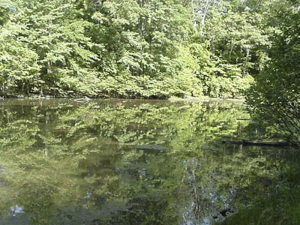 0 Batesville Road, Woodstock, GA 30188 