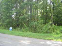 32 Rabbit Hill Road, Holly Springs, GA 30142 