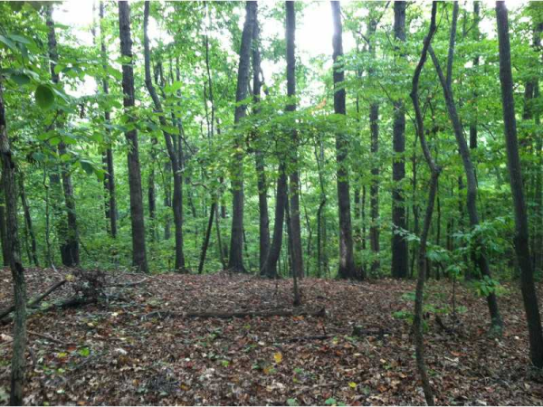 1431 Sandtown Road, Marietta, GA 30008 