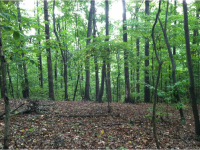 1431 Sandtown Road, Marietta, GA 30008 