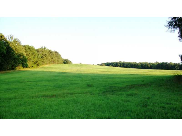 1539 Bear Creek Lot 2 Road, Moreland, GA 30259 
