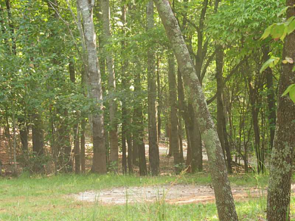 2999 Pruitt Lane, Cumming, GA 30041 