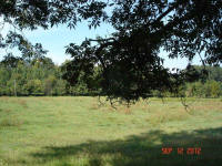 6105 Campbellton Redwine Road, Chattahoochee Hills, GA 30268 