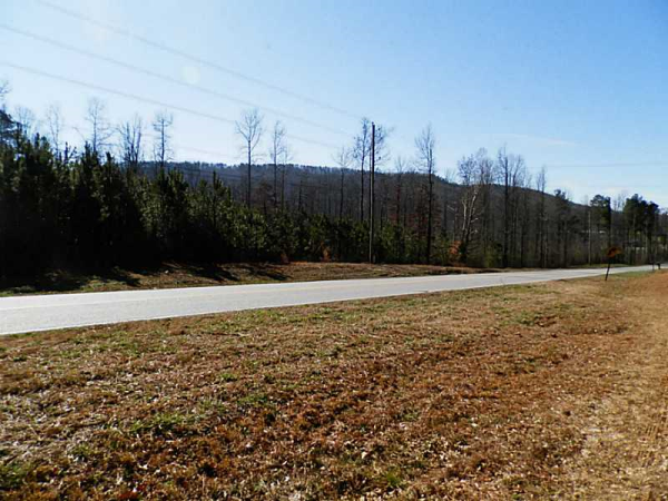 0 Spot Road, Cumming, GA 30040 