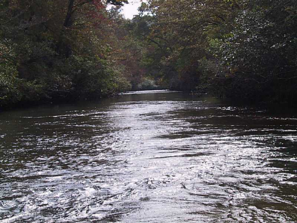 1028 Seabolt Stancil Road, Dahlonega, GA 30533 