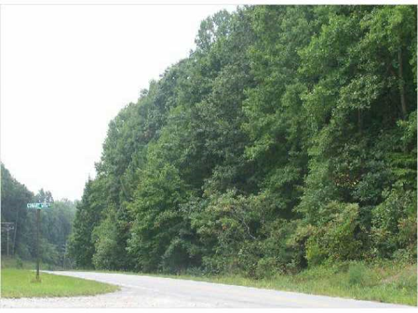 0 Cove Road, Jasper, GA 30143 