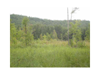 0 E Valley Road, Rydal, GA 30171 