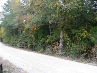 0 Se Old Greenville Road Se, Fayetteville, GA 30215 