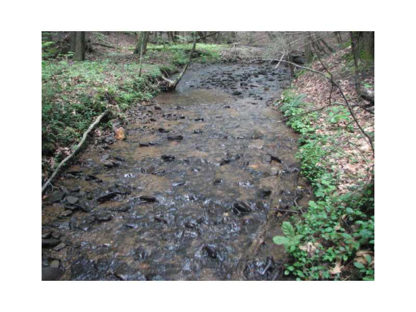 0 Camp Wahsega Road, Dahlonega, GA 30533 