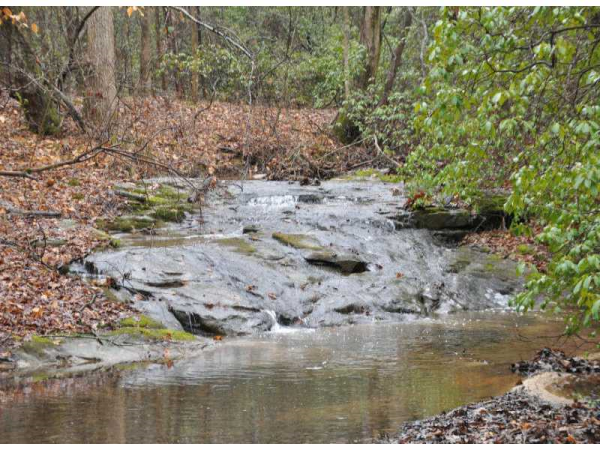 4032 Ed Cobb Road, Gainesville, GA 30507 