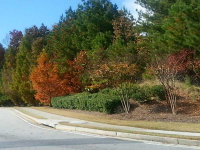 0 Bob Arnold Boulevard, Lithia Springs, GA 30122 