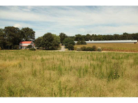 6921 Britt Gailey Road, Clermont, GA 30527 