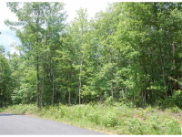 0 Sunrock Mountain Road, Blue Ridge, GA 30513 