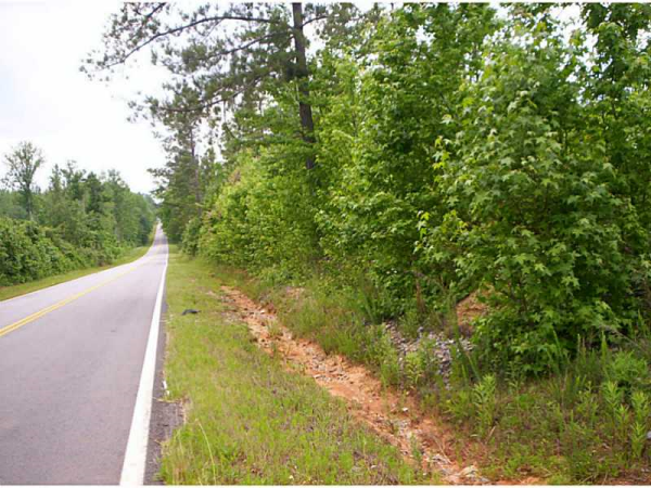 0 Five Points Road, Buchanan, GA 30113 