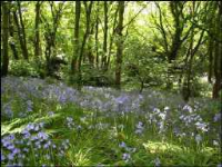 2337 Buford Drive, Lawrenceville, GA 30043 