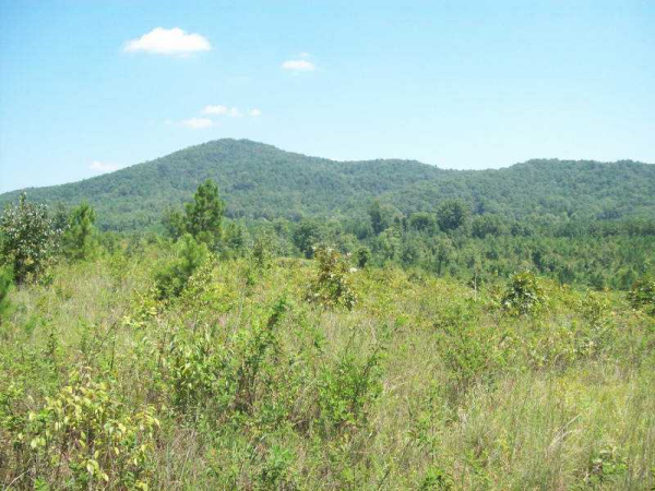 0 Everett Springs Road, Gordon, GA 30701 