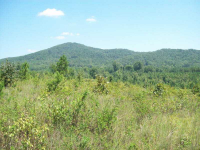 0 Everett Springs Road, Gordon, GA 30701 