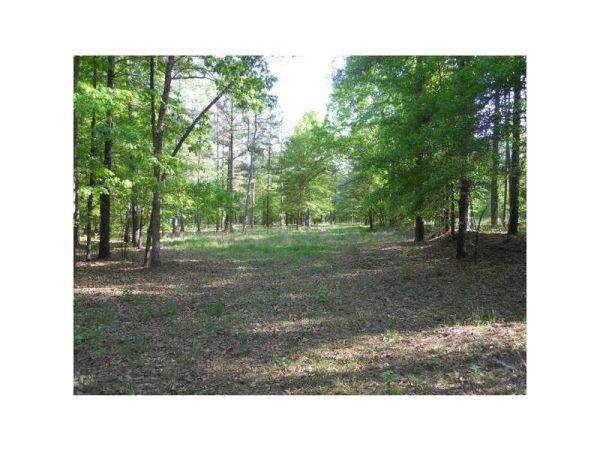 2107 Elder Mill Road, Watkinsville, GA 30677 