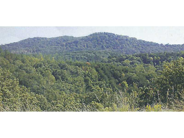 0 Stivers Road, Jasper, GA 30143 