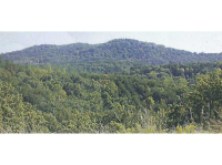 0 Stivers Road, Jasper, GA 30143 