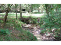 0 Yellow Creek Road, Murrayville, GA 30564 