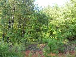 0 John Lee Road, Winston, GA 30187 