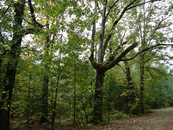 50 Highway 92 N, Fayetteville, GA 30214 