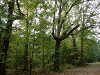 50 Highway 92 N, Fayetteville, GA 30214 