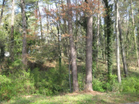 0 New Hope Road, Fayetteville, GA 30214 