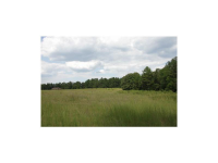 0 Taylorsville Macedonia Road, Taylorsville, GA 30178 