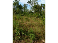 0 W Reinhardt College Parkway, Canton, GA 30114 