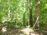 4105 N Cooper Lake Road, Smyrna, GA 30082 