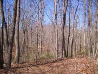 2825 Gaines Mill Road, Gainesville, GA 30507 