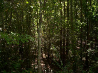 663 Crossroads Church Road, Rockmart, GA 30153 