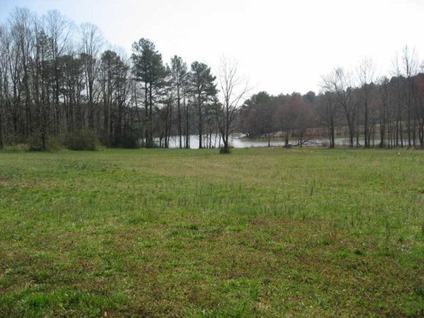 6560 Namon Wallace Drive, Cumming, GA 30028 