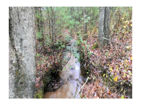 0 Hwy 19 N, Dahlonega, GA 30533 