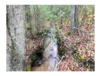 0 Hwy 19 N, Dahlonega, GA 30533 