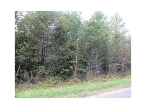 0 Bethlehem Church Road, Buchanan, GA 30113 