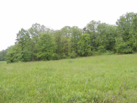 5 Albert Reid Road, Cleveland, GA 30528 