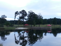 1421 Howard Lewis Rd, White Plains, GA 30678 