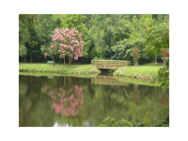 Unit 526 - 1800 Clairmont Lake, Decatur, GA 30033 