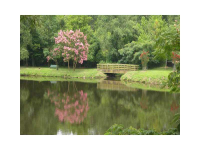 Unit 526 - 1800 Clairmont Lake, Decatur, GA 30033 