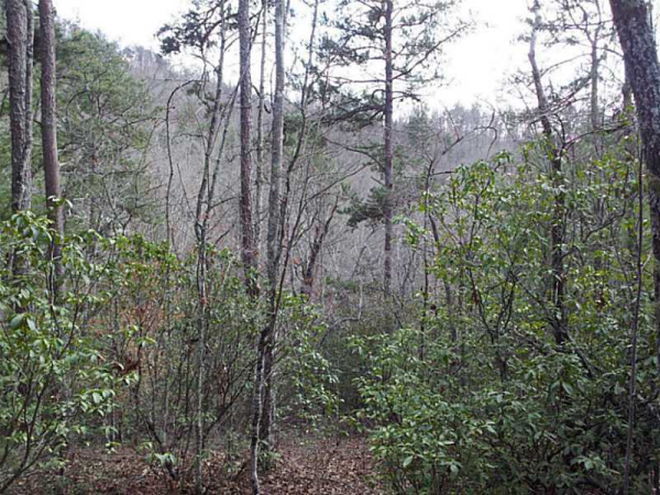 3 Dana Road, Mineral Bluff, GA 30559 