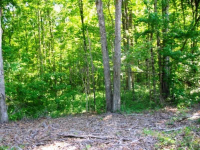 1188 Sweetwater Juno Road, Dawsonville, GA 30534 