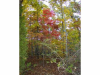 0 Winnie Frank Road, Cartersville, GA 30120 